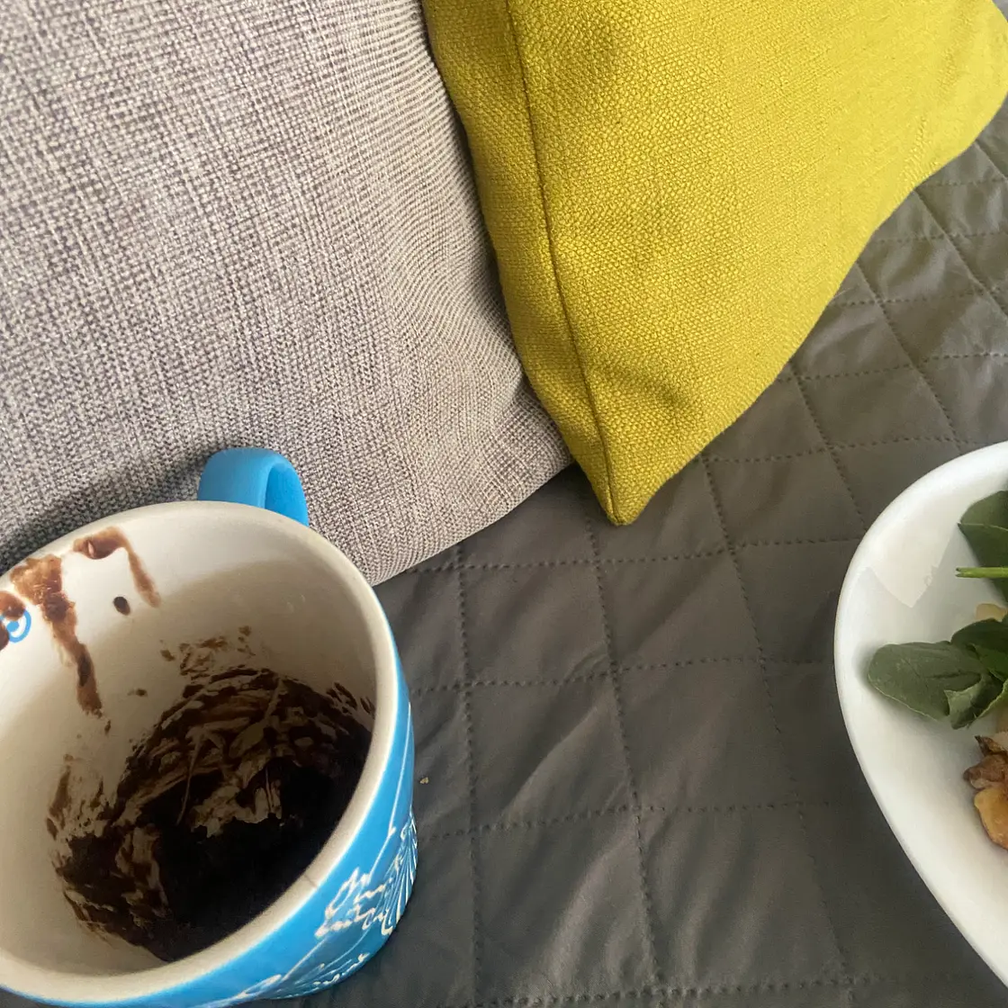 100 calorie chocolate mug cake