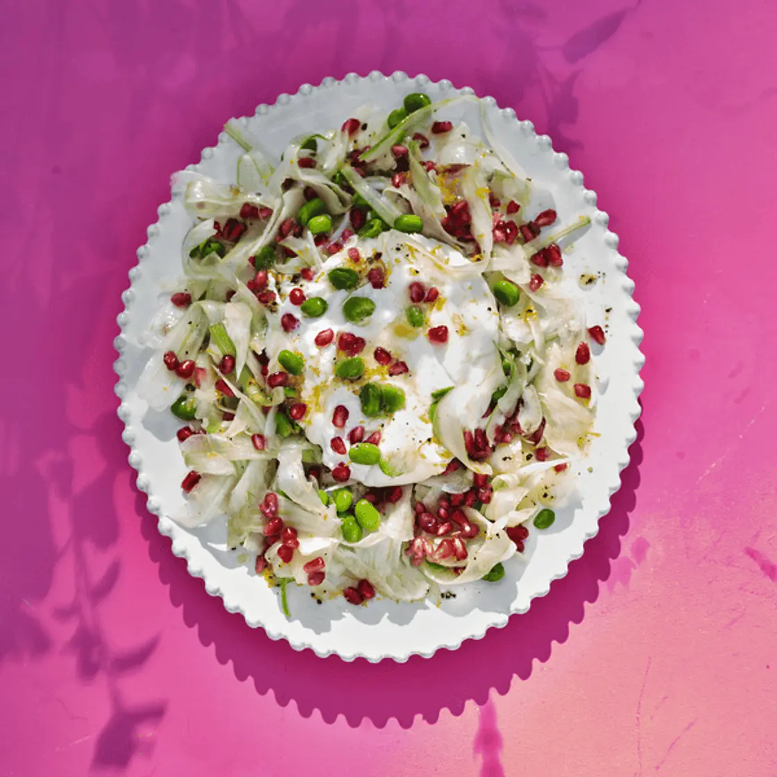 Fennel with burrata, broad beans and pomegranate