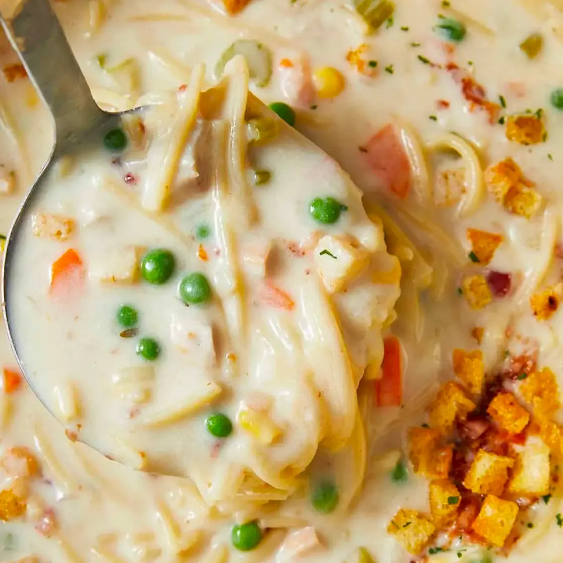 Creamy chicken noodle soup with mini croutons