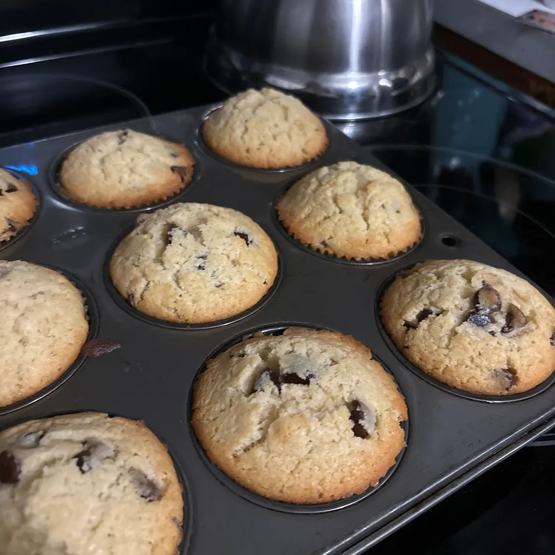 Chocolate Chip Muffins