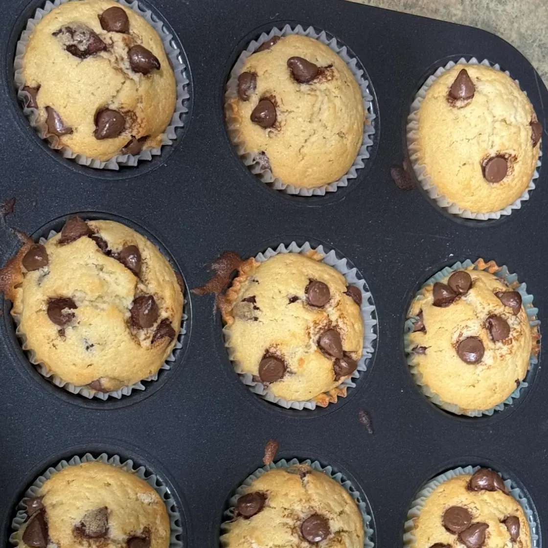 Chocolate Chip Muffins