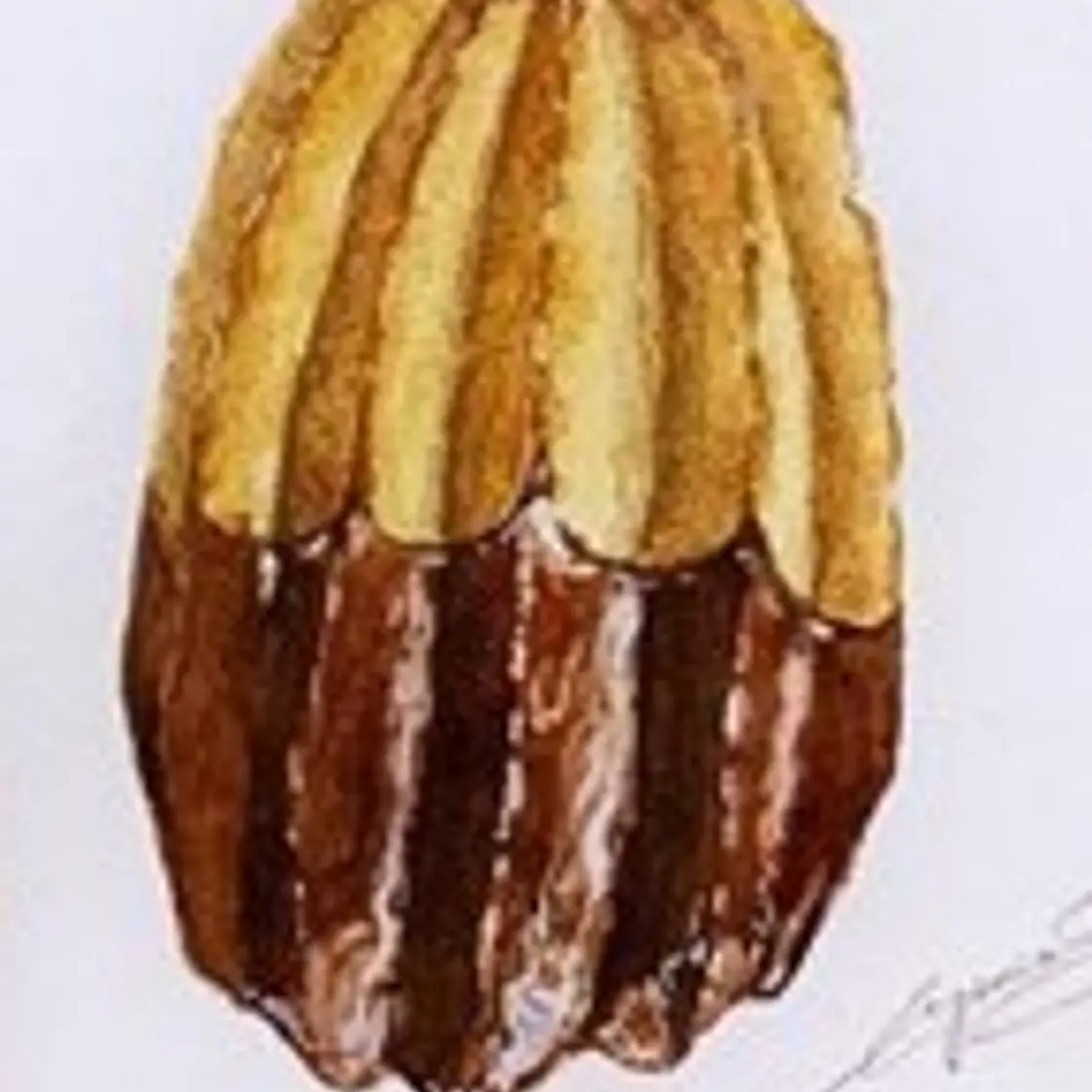 Húngaros