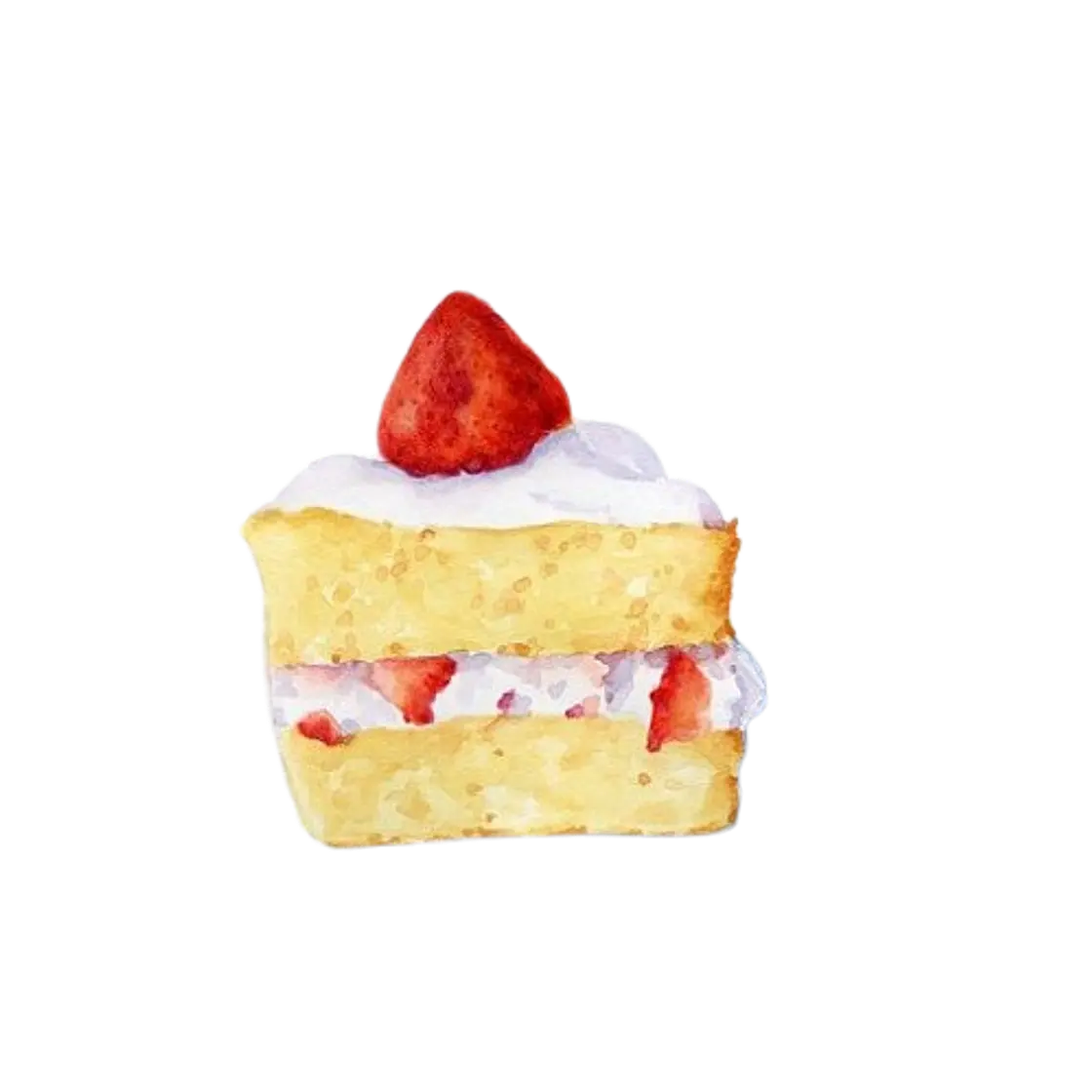 Sponge cake
