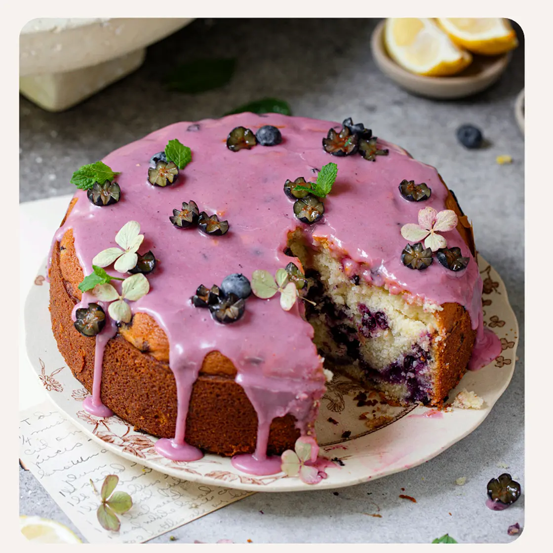 Blueberry Lemon Cakeby Betül Tunç of Turkuaz Kitchen