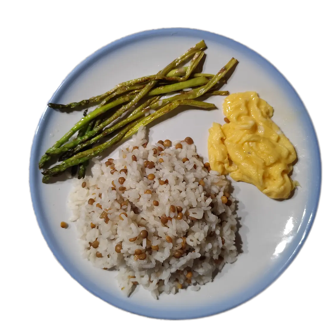 ARROZ CON LENTEJAS, ESPÁRRAGOS Y TORTILLA