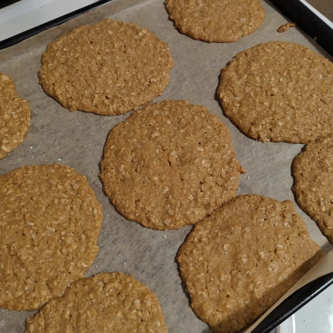 Honey Oatmeal cookies