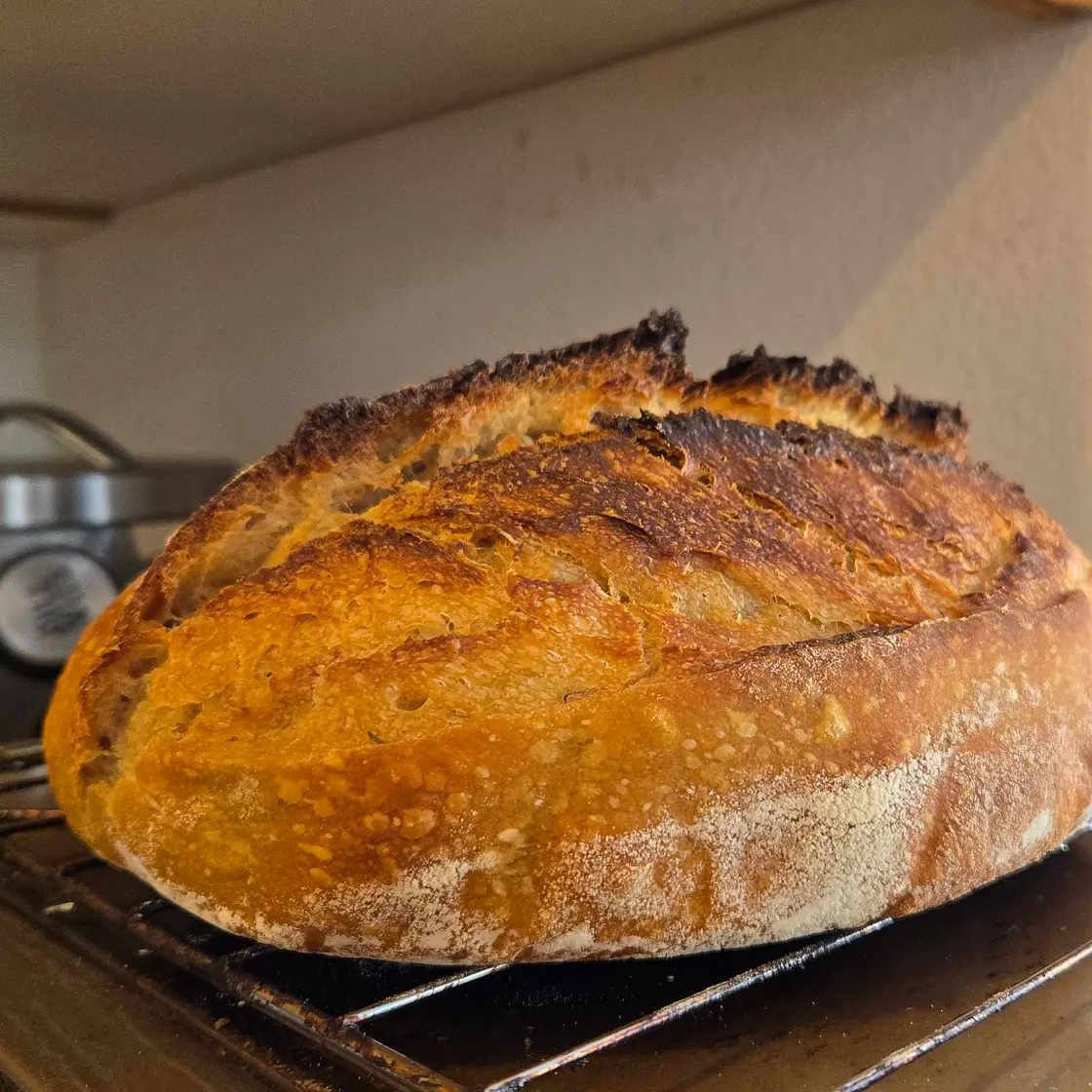 Signature Sourdough Loaf