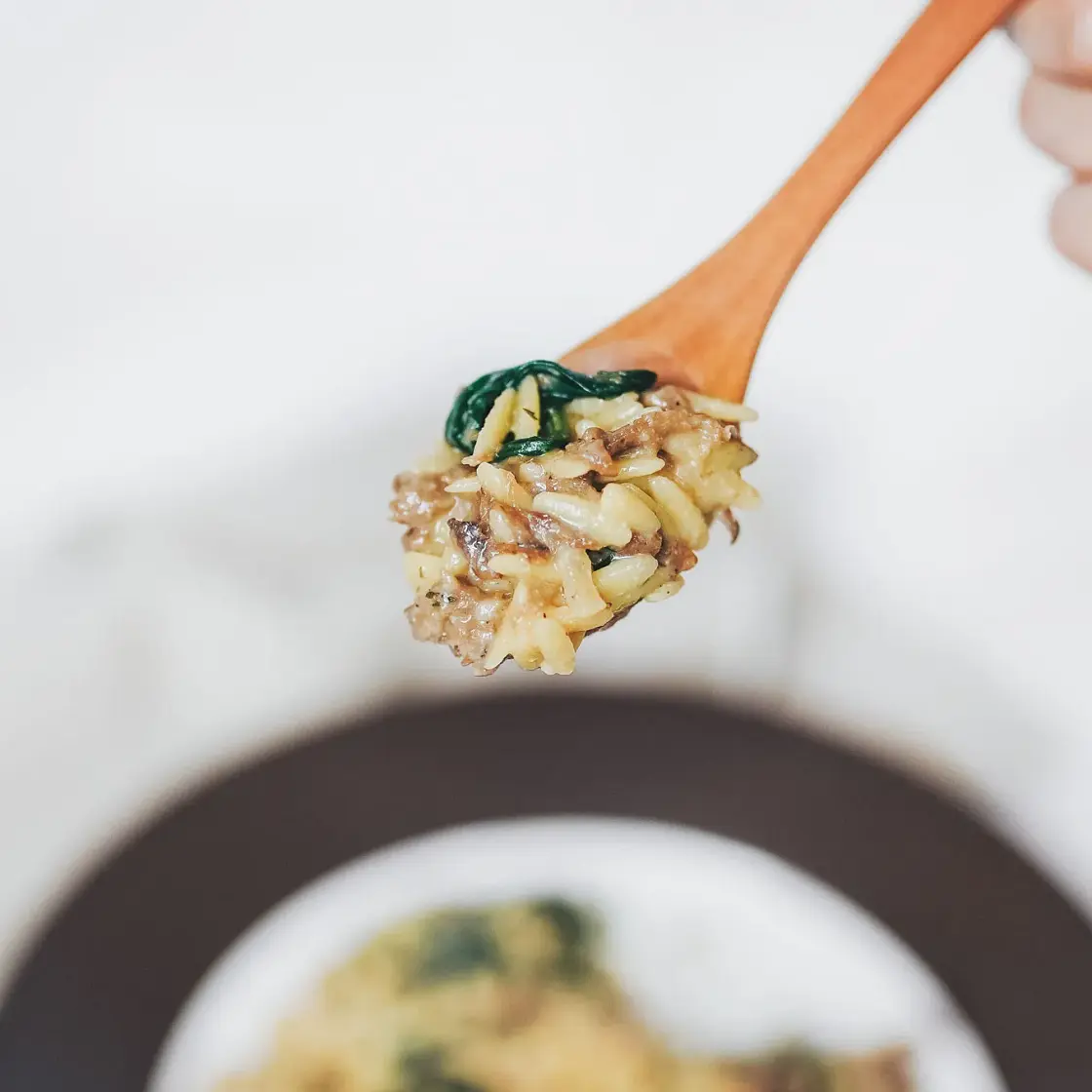 One Pan Vegan Orzo with Spinach and Braised Beef