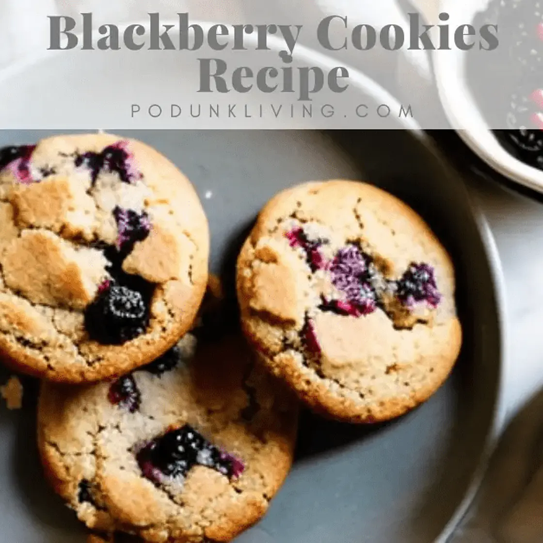 Blackberry Cookies