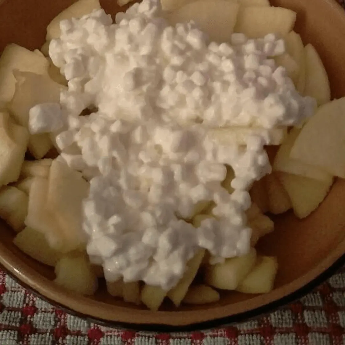 Apple, Cottage Cheese, and Cinnamon Snack