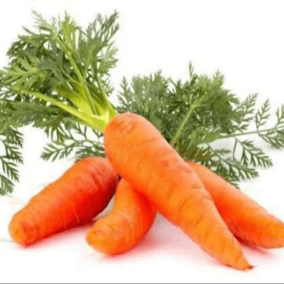 Carrots