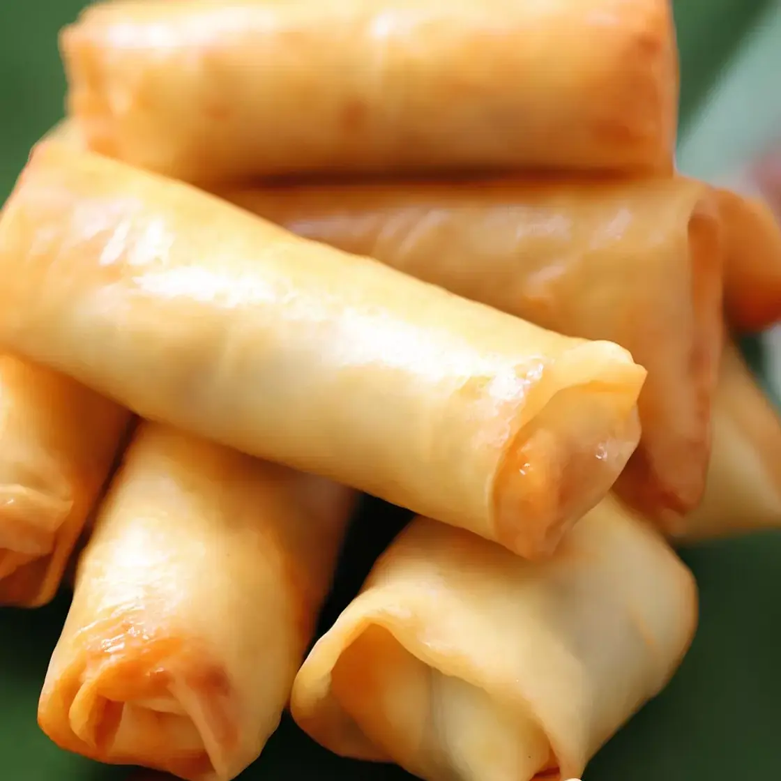 Vegetable Spring Rolls