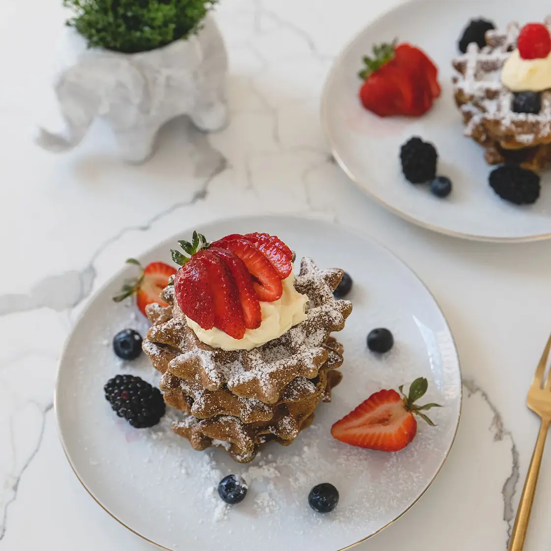 Low Carb High Protein Waffles - GF