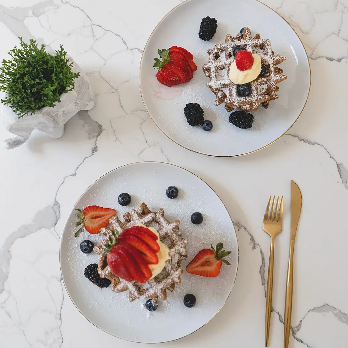 Low Carb High Protein Waffles - GF