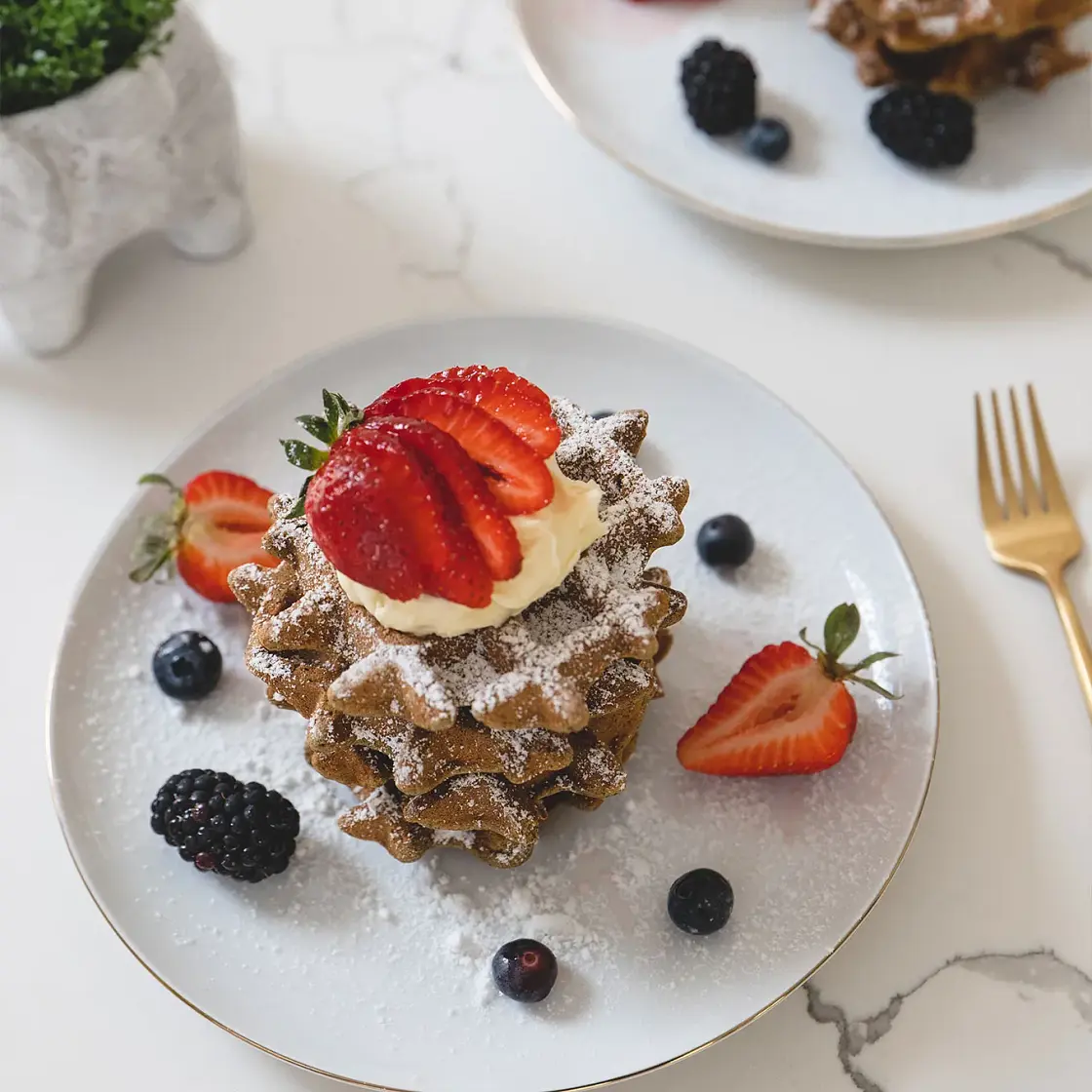 Low Carb High Protein Waffles - GF