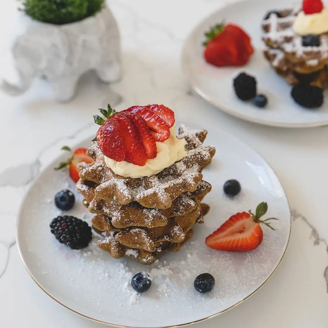 Low Carb High Protein Waffles - GF
