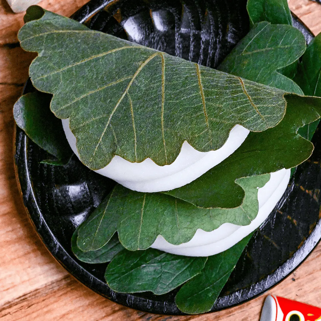 Kashiwa Mochi (柏餅)