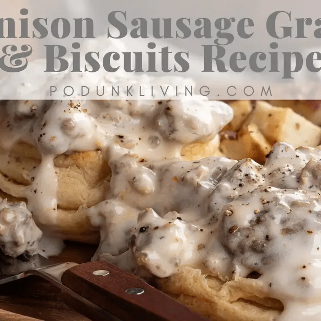 Venison Gravy