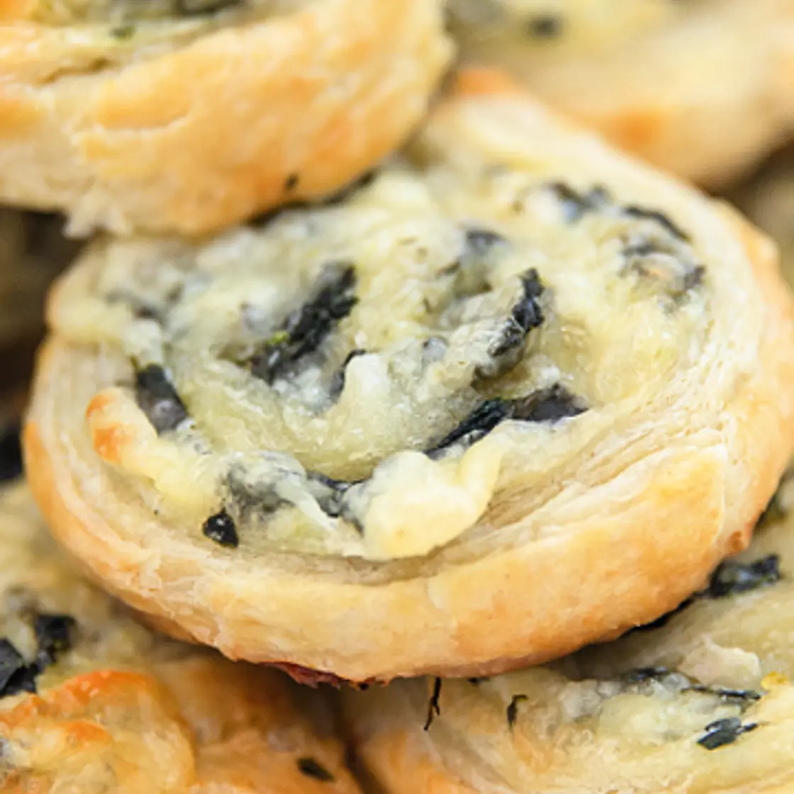 Creamy Spinach Roll Ups Recipe!