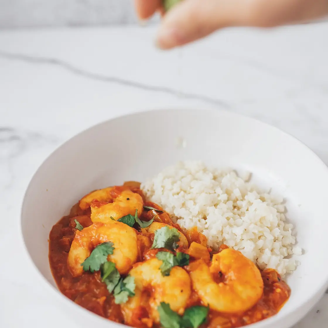 Coconut Shrimp Curry