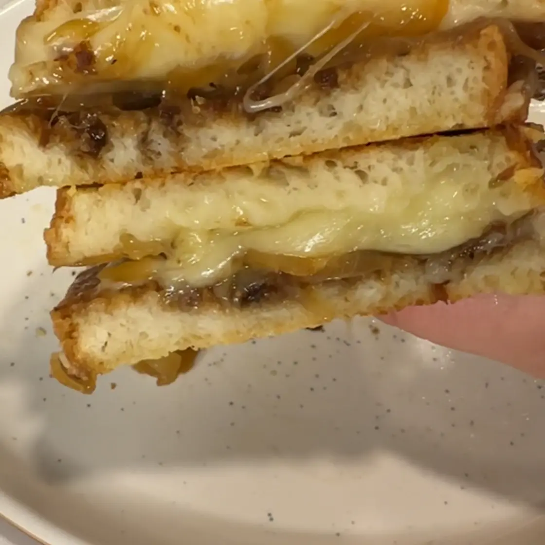 Caramelized Onion Grilled Cheese