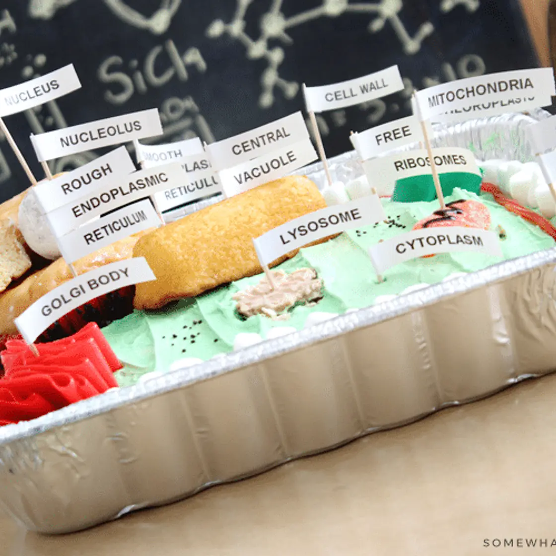 Edible Plant Cell Recipe