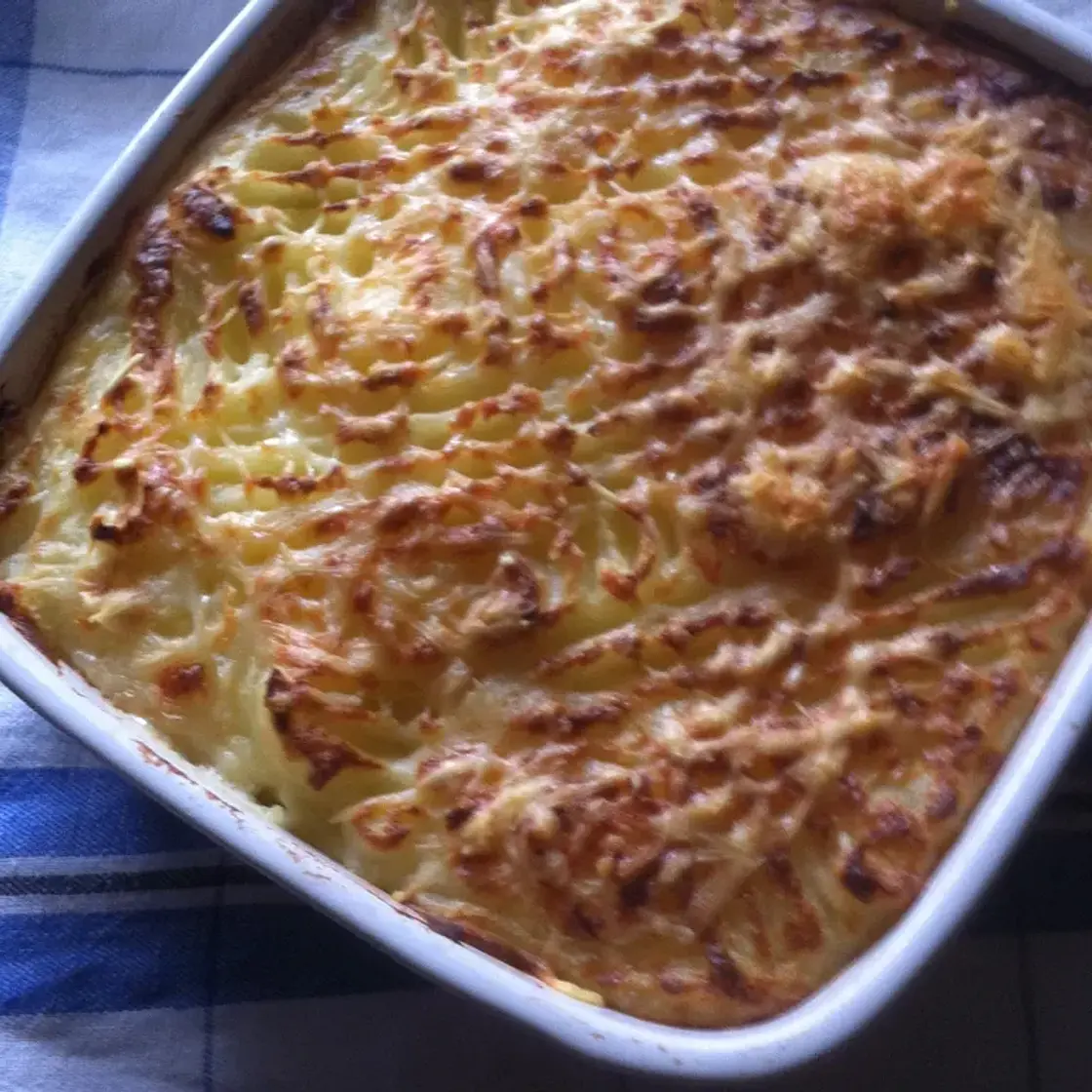 Gratin de poisson aux légumes façon laurette