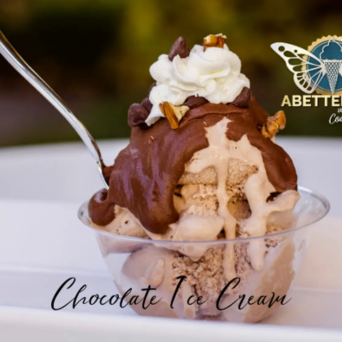 Chocolate Ice Cream