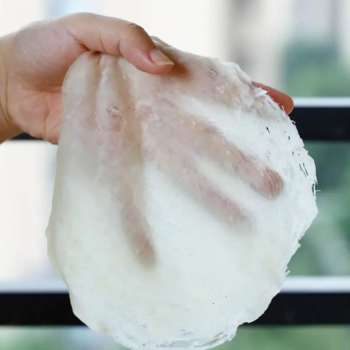 Easy Spring Roll Wrappers