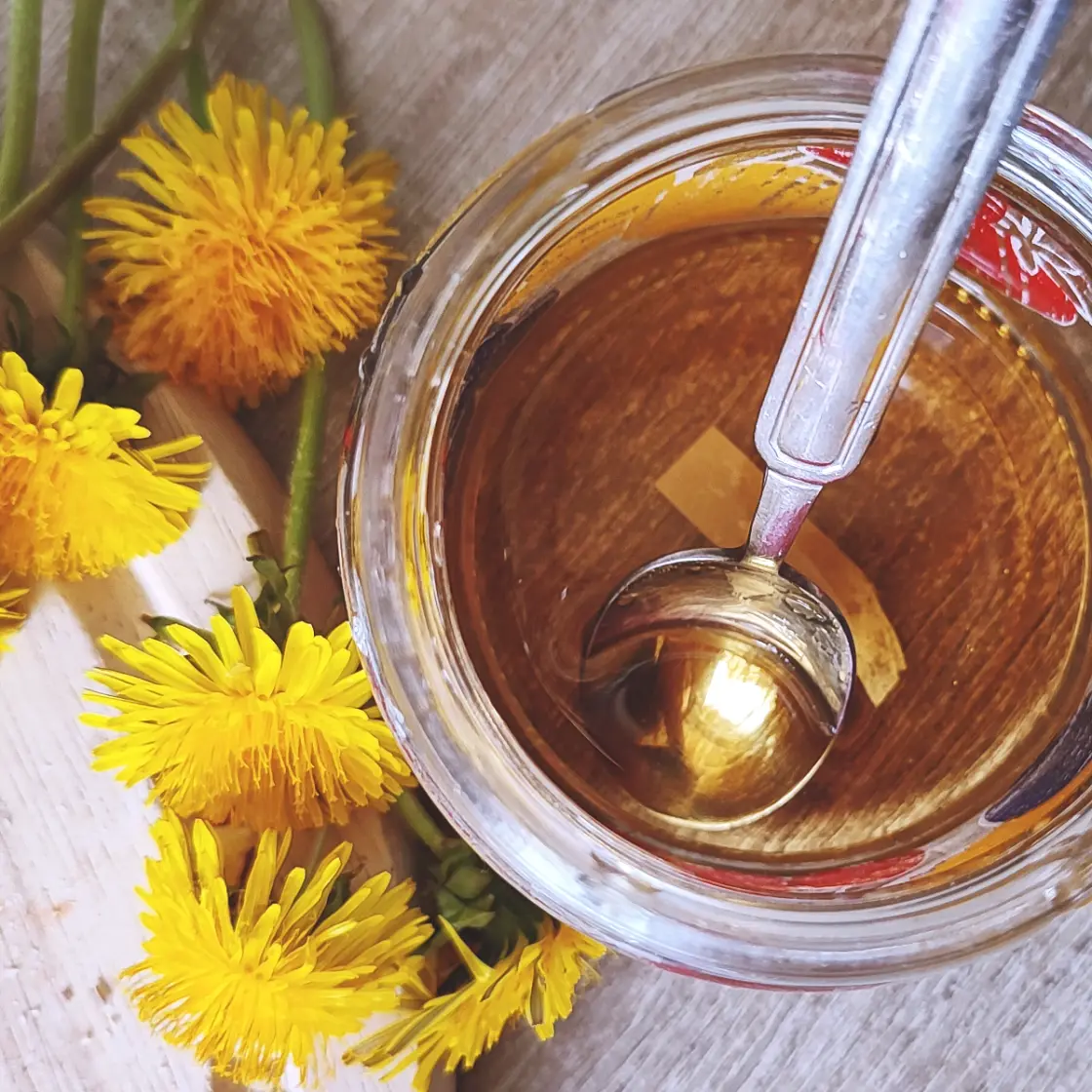 Make a Dandelion Honey: A vegan-friendly delight