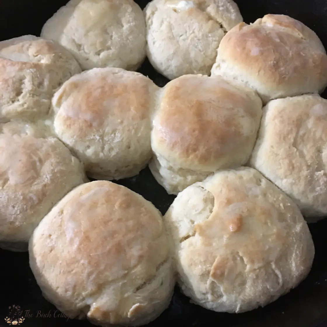 Stand Mixer Buttermilk Biscuits