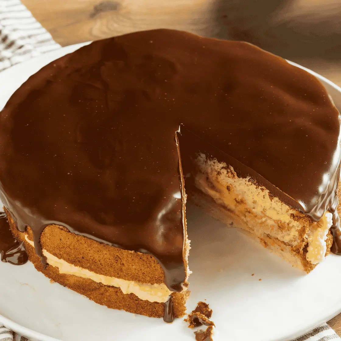 Boston Cream Pie (Custard Filled Chocolate Cake)