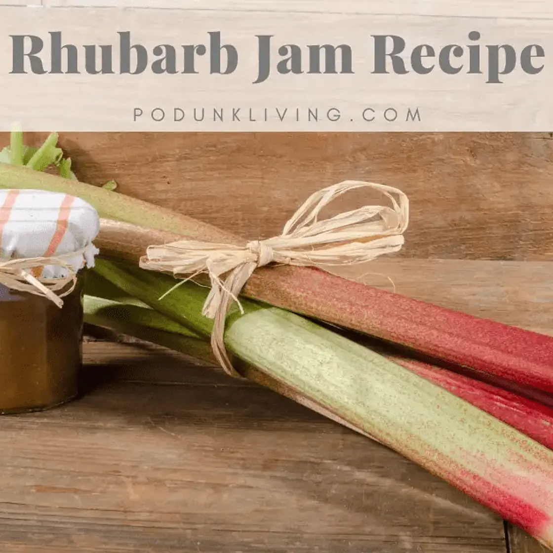 Rhubarb Jam Recipe