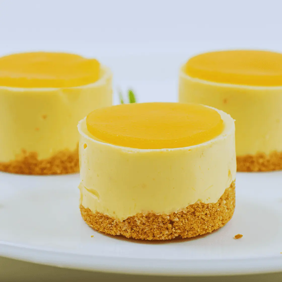 No Bake Mini Mango Cheesecakes everybody loves