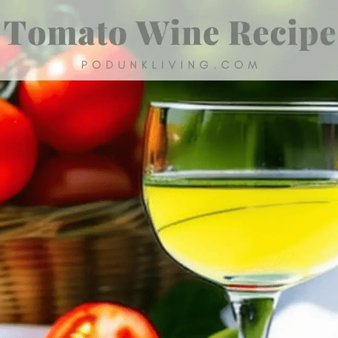 Best Tomato Wine Recipe