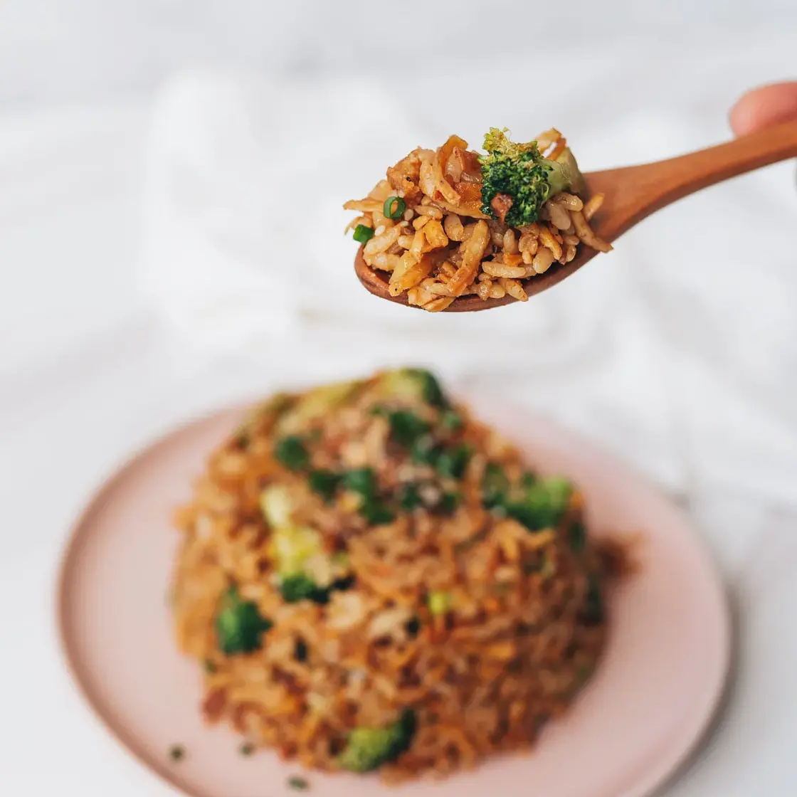 Shredded Tofu Fried Rice