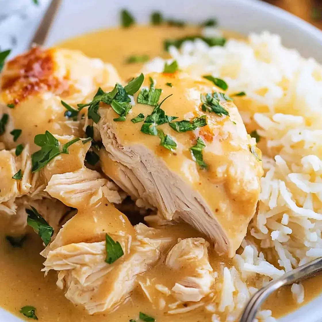 Crock Pot Chicken and Gravy