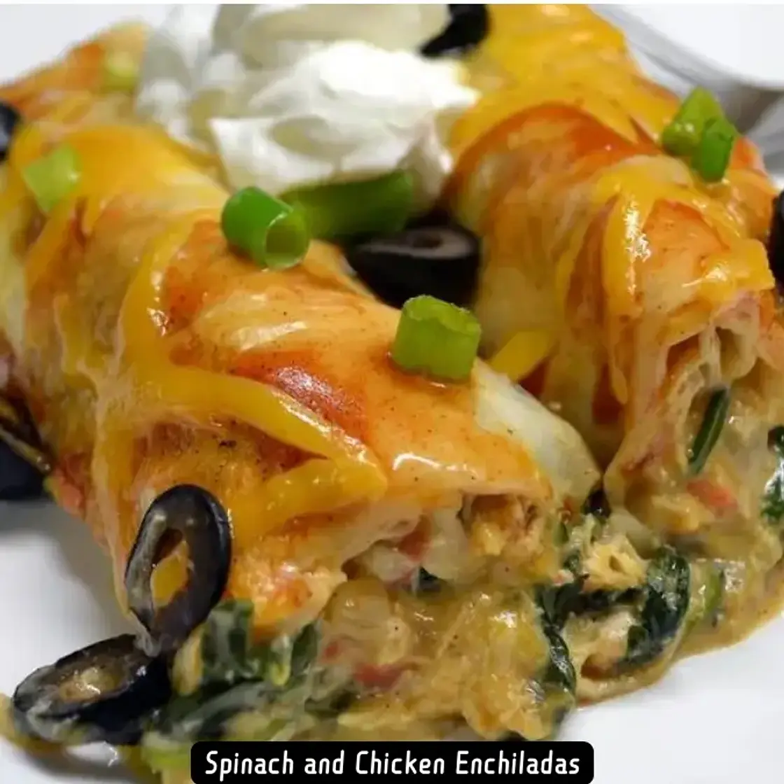 The Best Spinach and Chicken Enchiladas Recipe