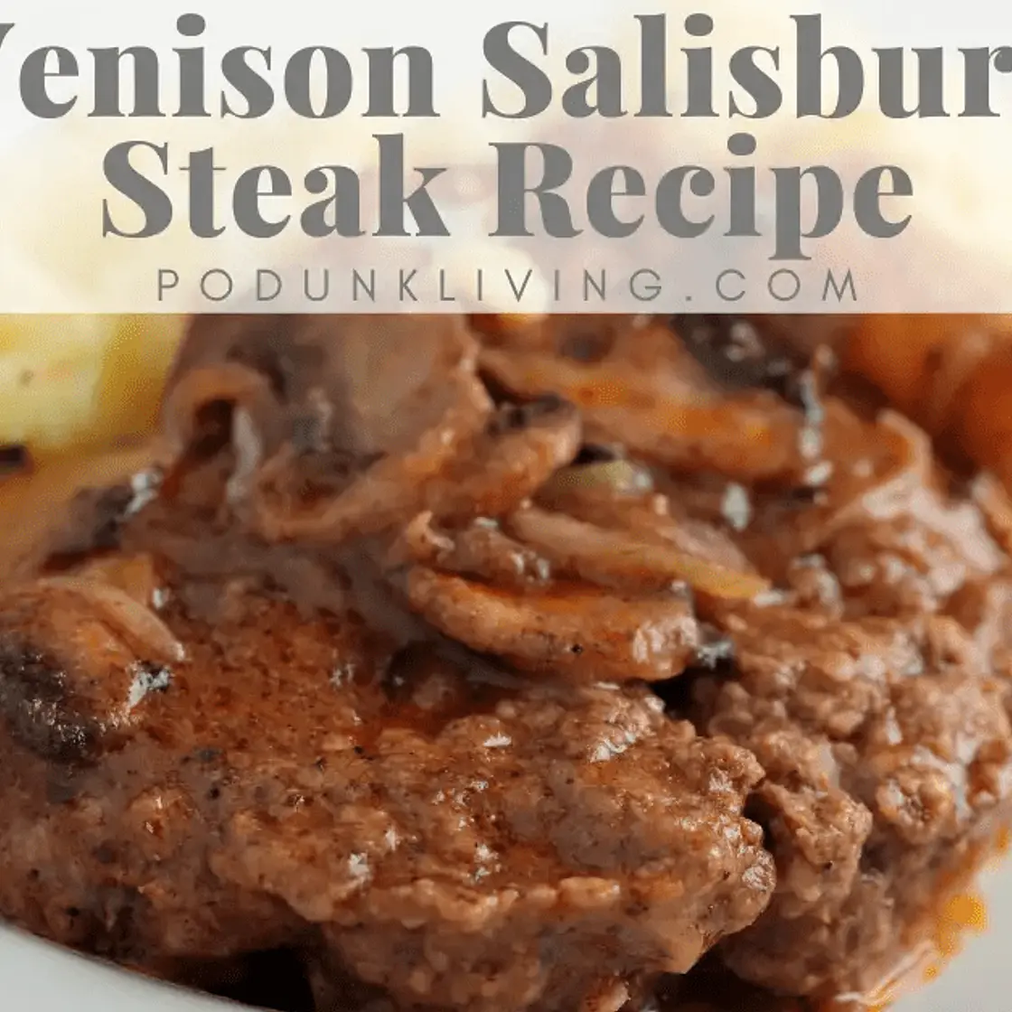 Ground Venison Salisbury Steak Recipe