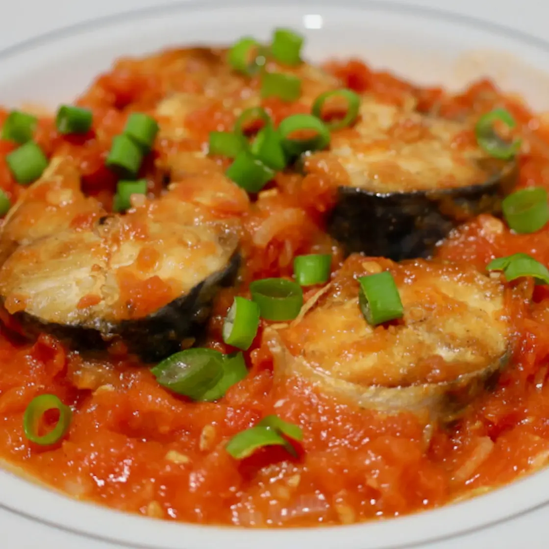 Mackerel in tomato sauce