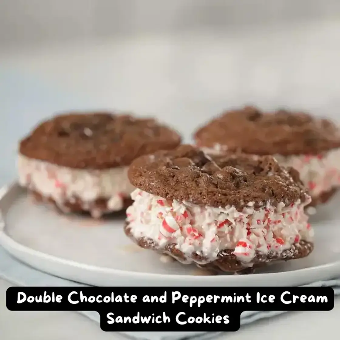 The Best Double Chocolate Peppermint Ice Cream Sandwich Cookies