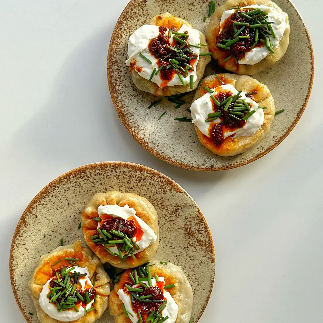 Pan-Fried Beef Spinach Dumplings