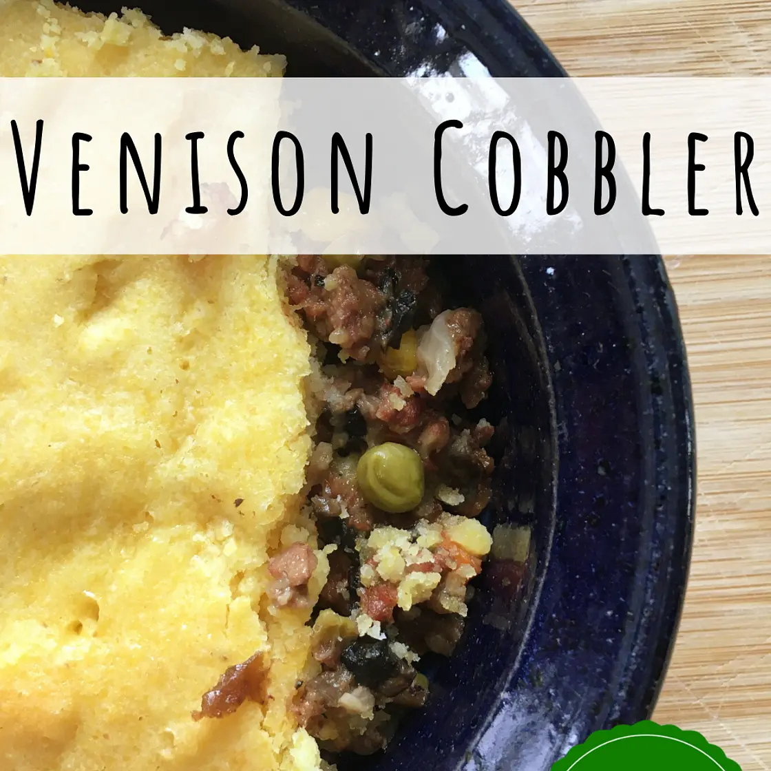 Venison Cobbler