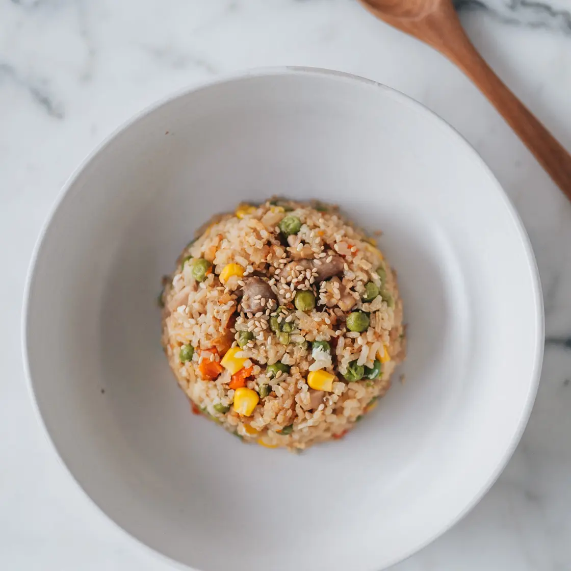 One Pot Rice Cooker Fried Rice