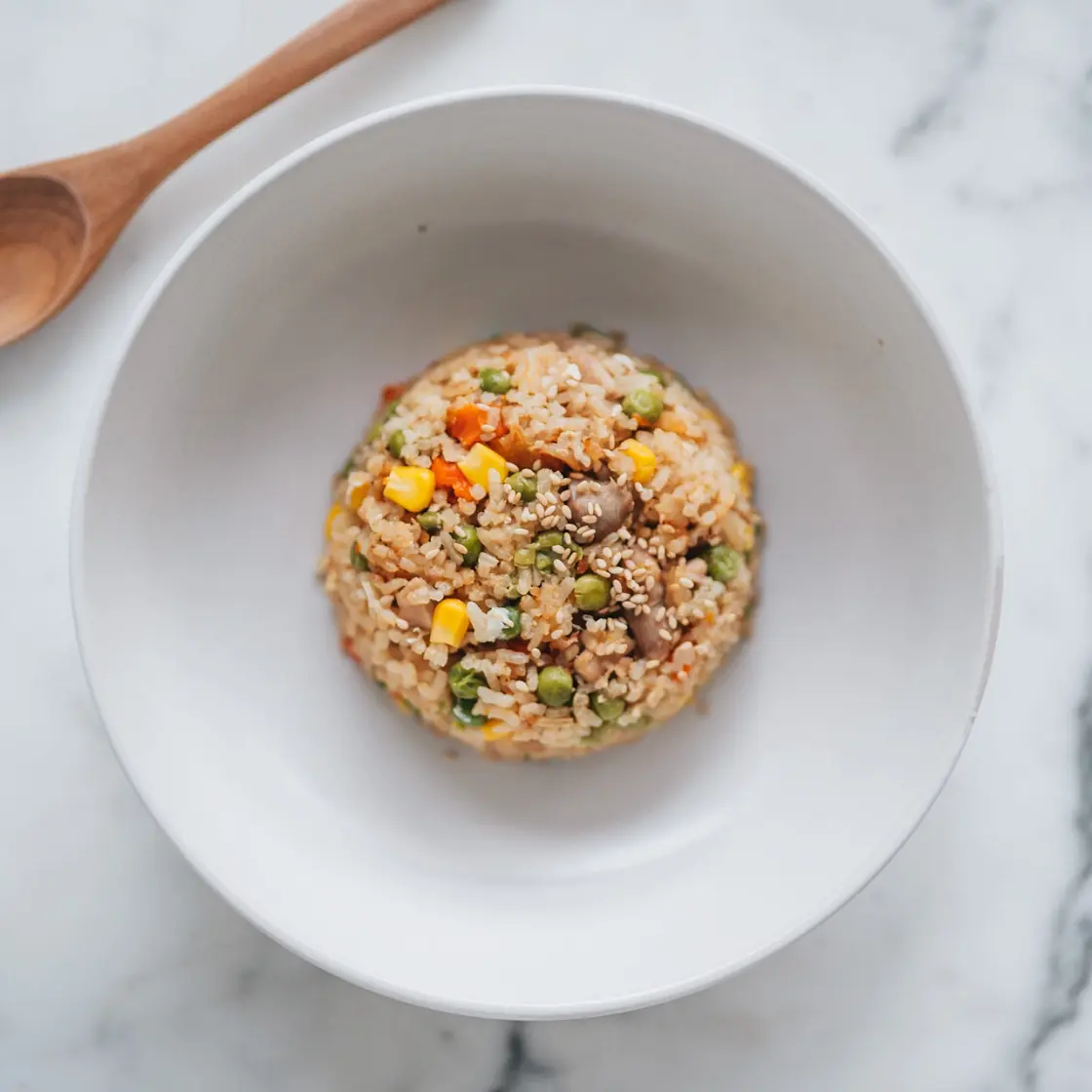 One Pot Rice Cooker Fried Rice