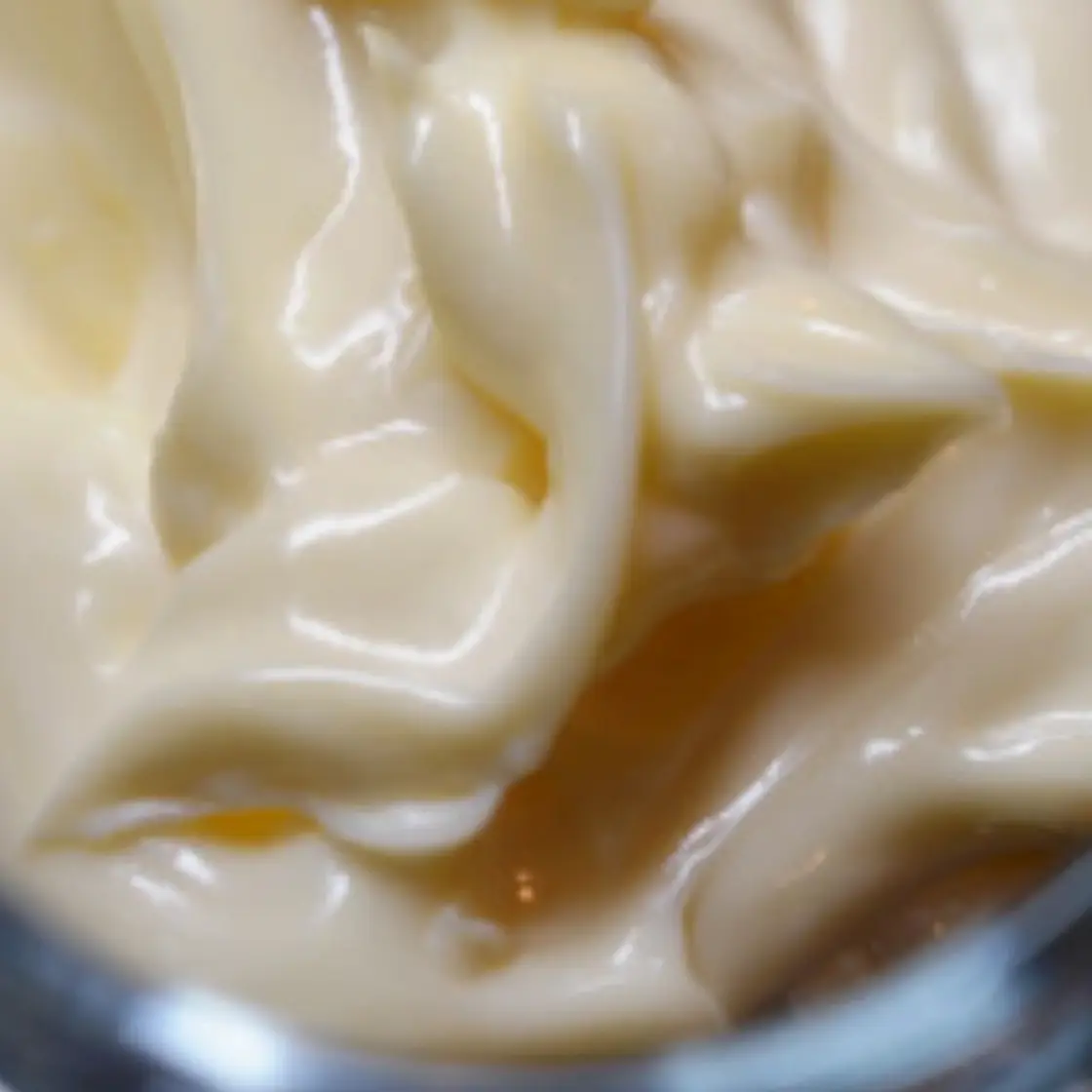 Egg-Free Mayonnaise