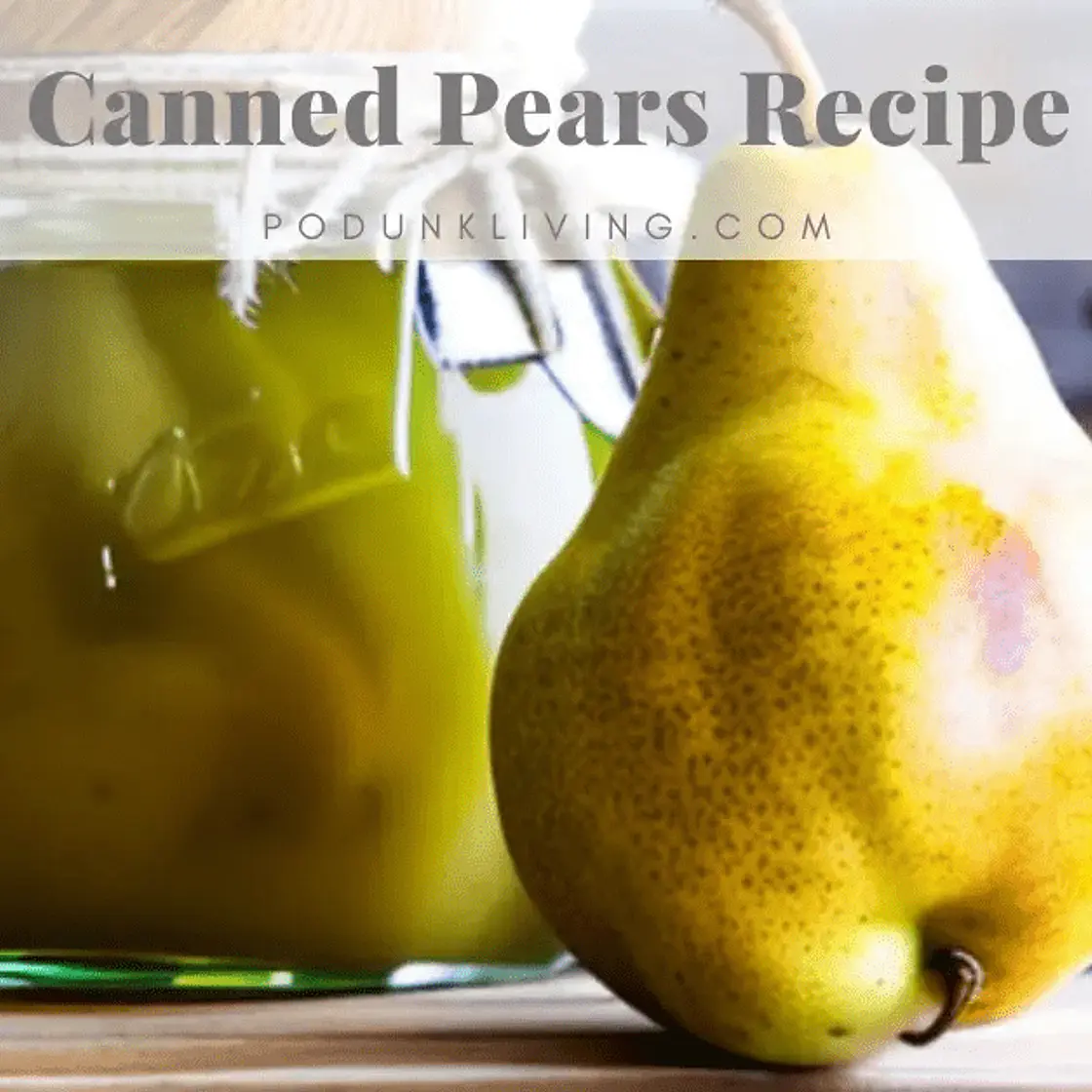 Canned Pears