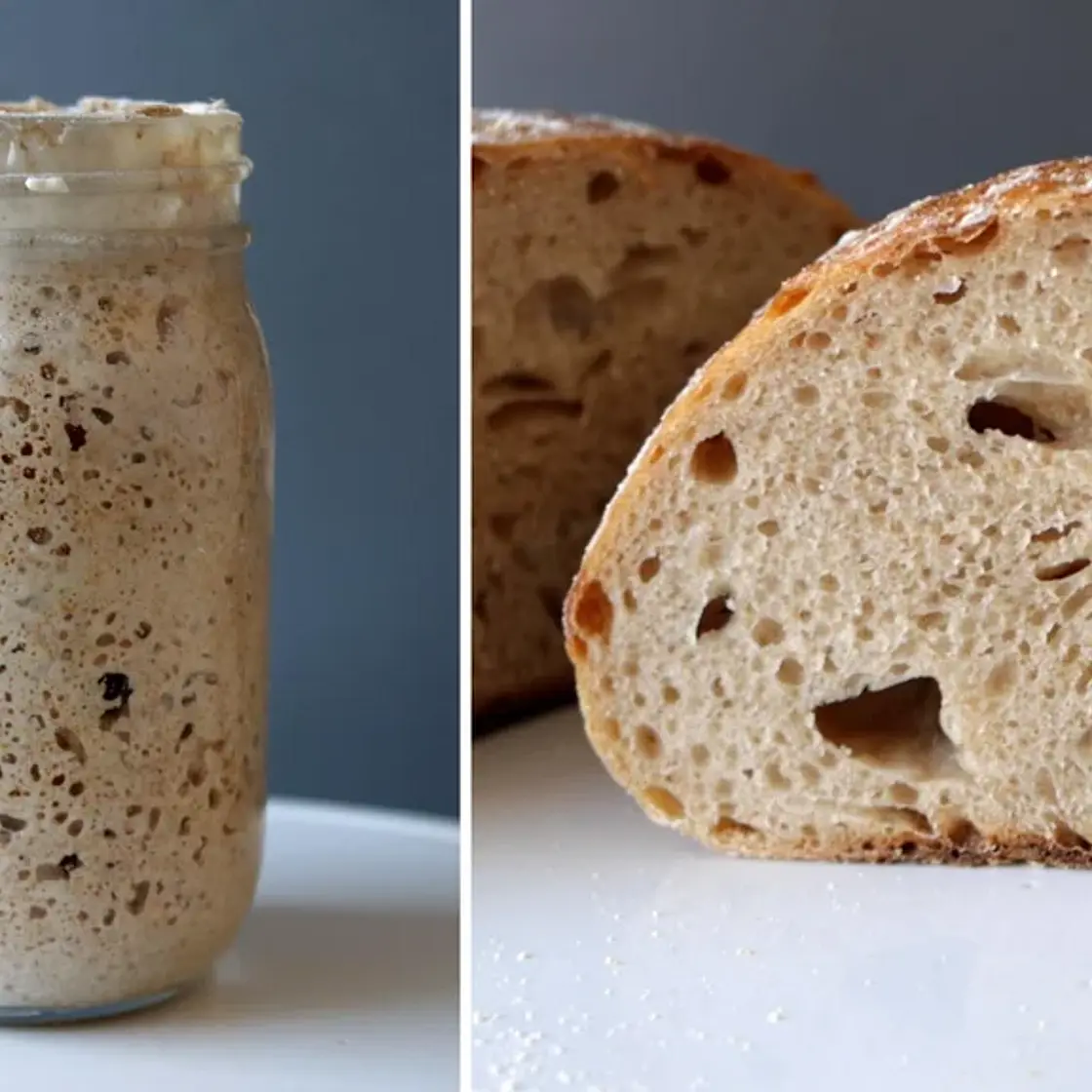Sourdough Starter Recipe Only 2 Ingredients