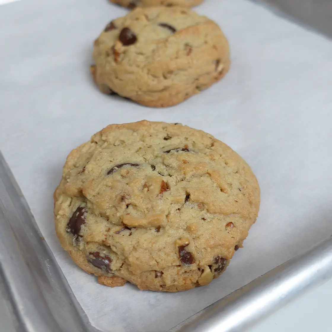 Chocolate Chip Walnut Cookie