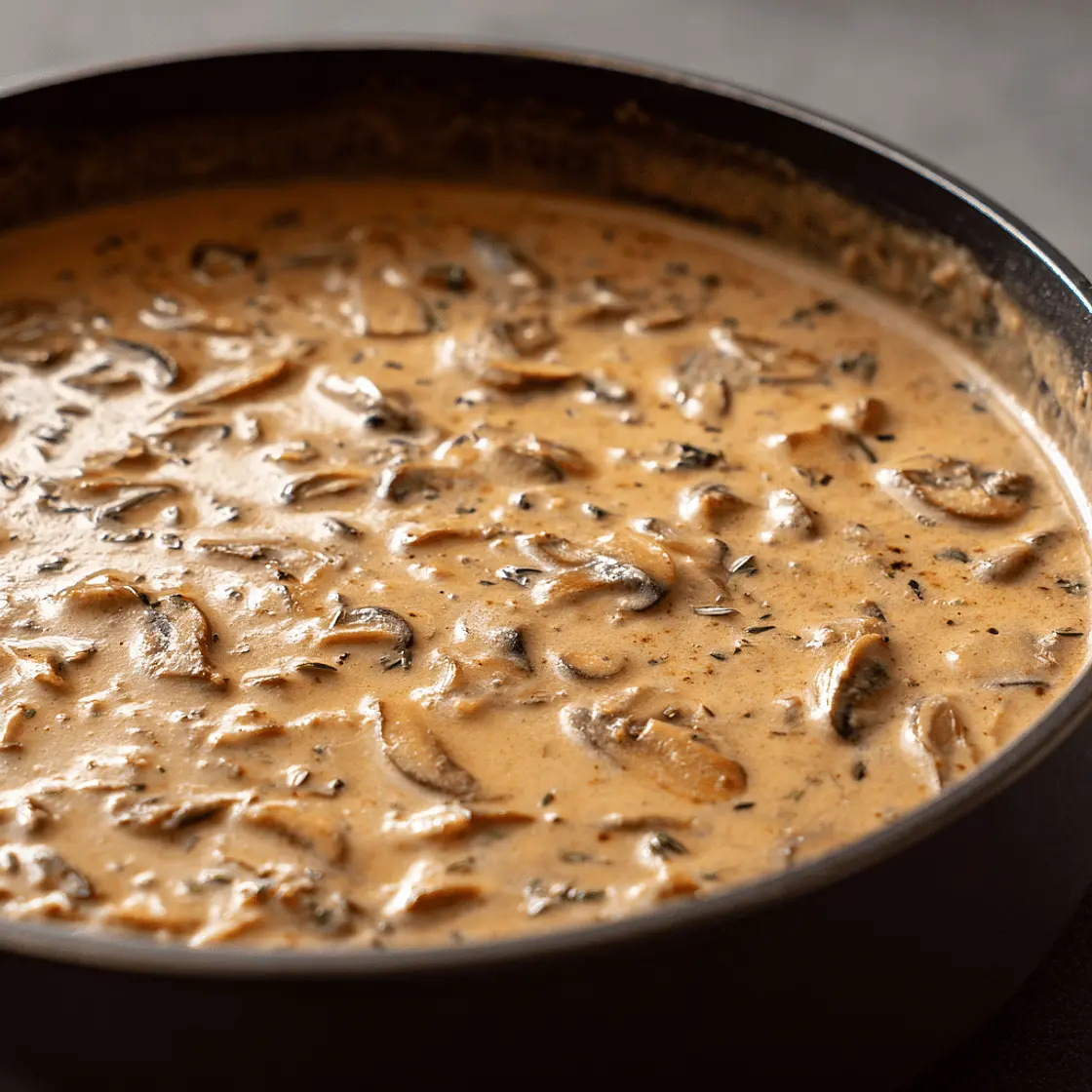 Pilzsauce mit getrockneten Pilzen